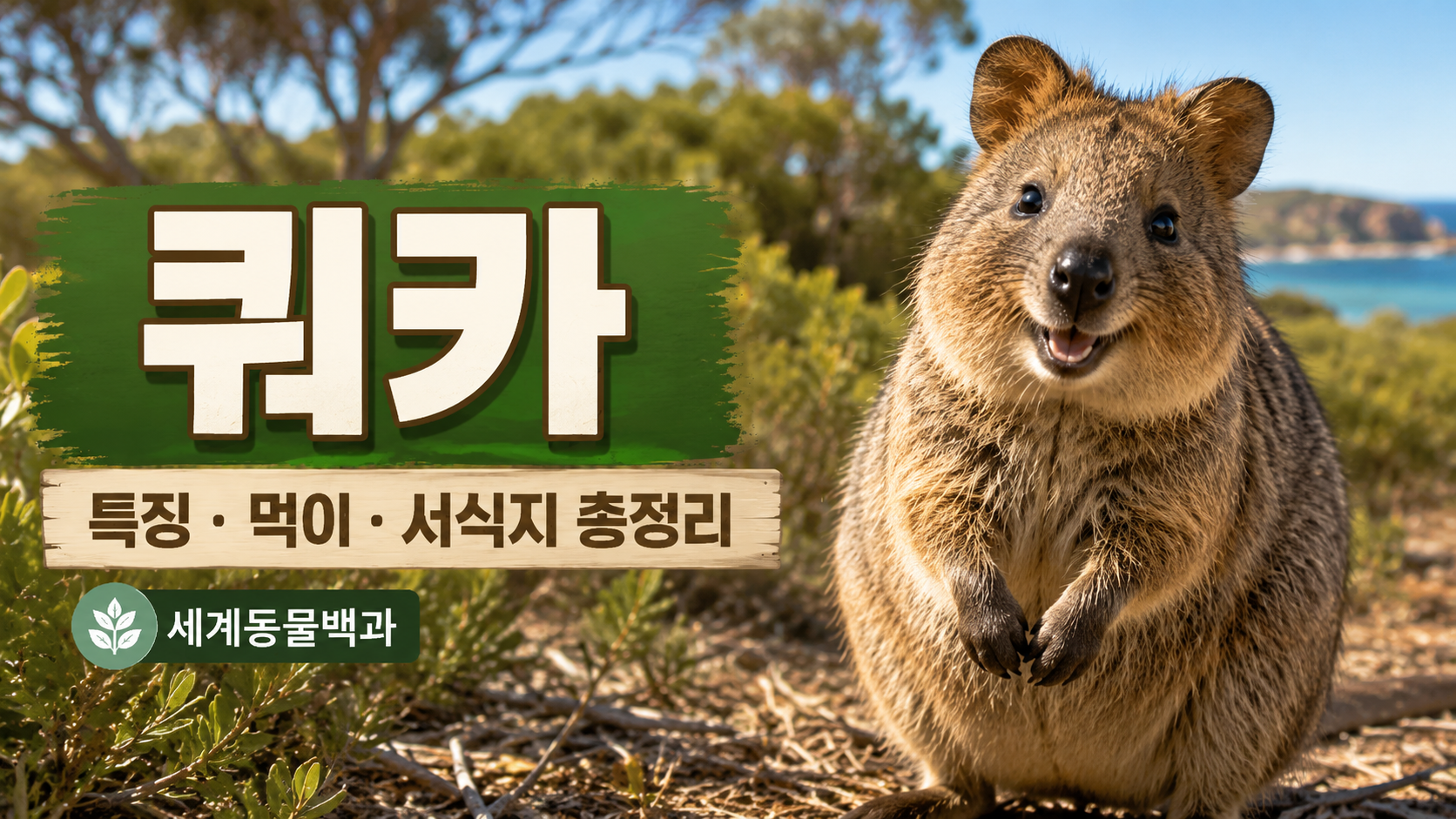 쿼카